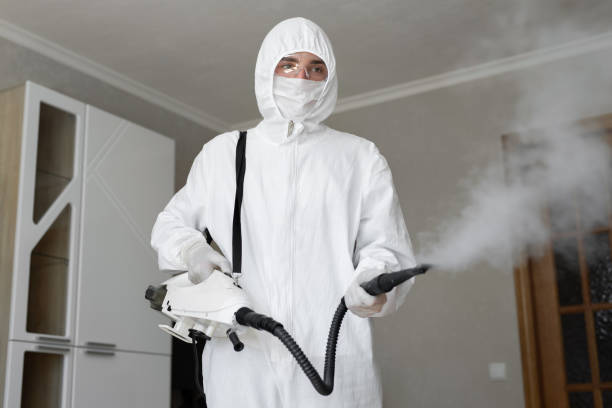 Best Commercial Mold Inspection  in Littlefield, TX